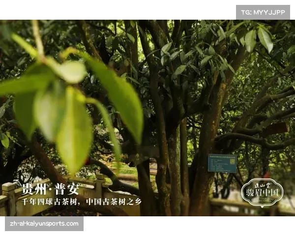 贵州村超火爆的原因与创始人背后的故事揭秘 贵州村超火爆的原因与创始人背后的故事揭秘